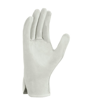 texxor 1153 Handschuhe TOP Rindnappaleder Handschuhe Fahrer 12 Paar Gr 8-11